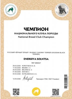 ЭНЕРГИЯ СОЛНЦА: news of 13.05.2026